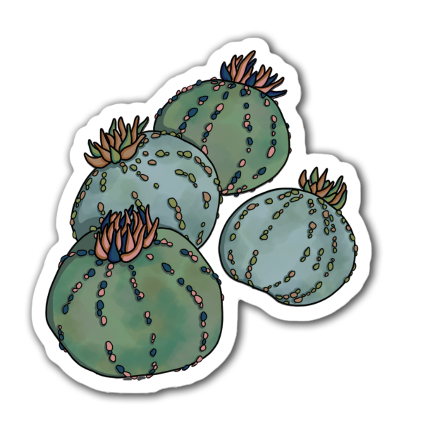 Sticker décoratif en vinyle mat "Boule de Mer", inspiré de la nature marine, représentant des cactus stylisés avec des perles et des fleurs colorées, idéal pour ordinateur, carnet ou autres surfaces lisses.