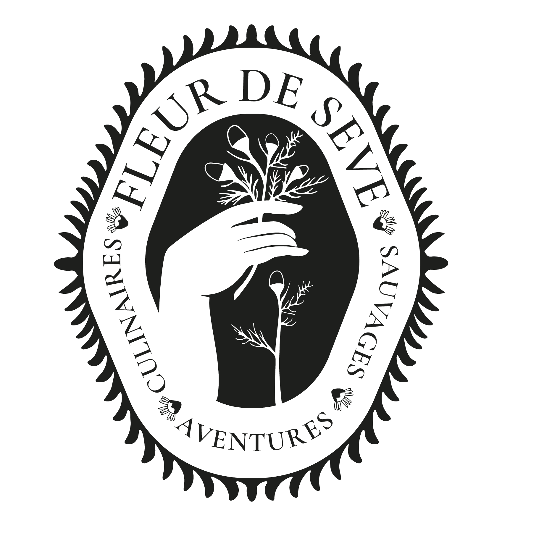 Logo pour Fleur de Sève, cueillette sauvage durable